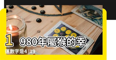 1980屬猴幸運數字|1980年属猴最旺的数字 80年属猴人命理分析